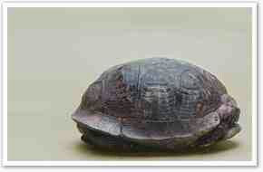 ... quote this scripture and remind the devil of his place. And tell him