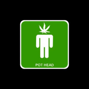 quotes explore more details about pot head quotes on quotes