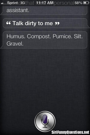 ... fun siri funny siri funny questions siri quotes with no comments tweet