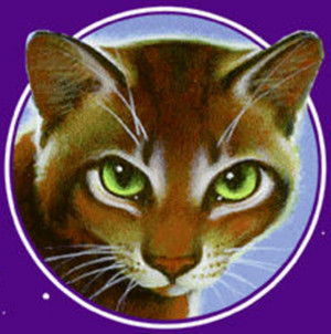 Crookedstar's Promise Spoilers!!!! - Crookedstar - Fanpop