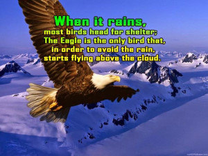 When it rains , most birds head for shelter; The eagle is the only ...