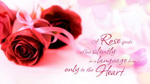 Red roses and beautiful words about love wallpapers and images