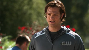 Funny Quotes Contact Us DMCA Notice