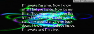 Skillet awake and alive Profile Facebook Covers