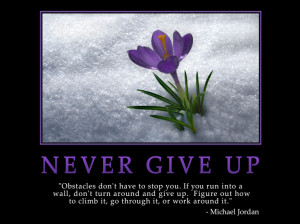 Never Give Up ~ Life Quote