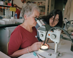 Christiane Nüsslein-Volhard biologist, Nobelprize winner, director of ...