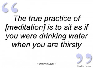 the true practice of [meditation] is to