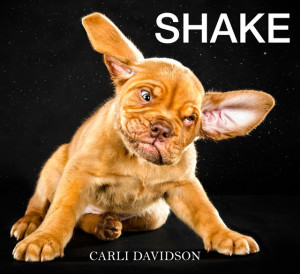 Shake, A Funny Book of Dogs Photographed While Shaking Off Water