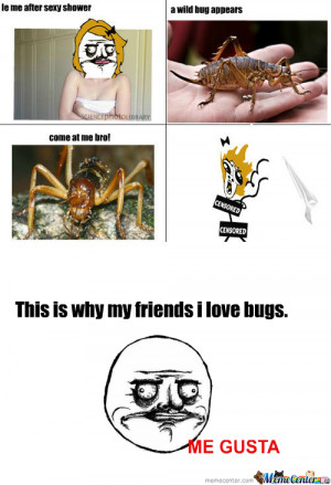 RMX] This My Friends...is Why I Hate Bugs
