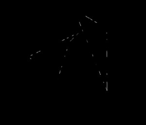 Quotes Picture: i wish my brain had a map to tell me where my heart ...