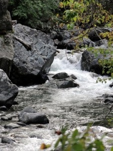 Love this river, stay by it, learn from it.... It seemed to him that ...