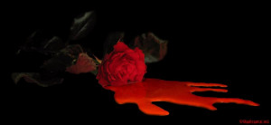 Bleeding Rose photo BleedingRose.jpg