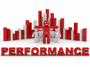 Performance Appraisal of the Performance Appraisal System