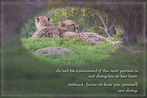 Quotes Contentment And Peace