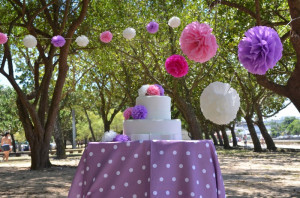 Kit Flores Pompom Papel Seda