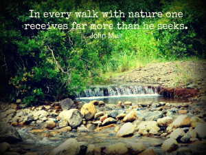 Nature Walks
