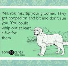 , Dogs Quotes, Dogs Groomer, Dogs Grooms, Grooms Shops, Dog Grooming ...