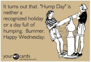 ... Hump Day, Fun Stuff, Funny Quotes, Funny Stuff, Humpday, Humor, Ecards