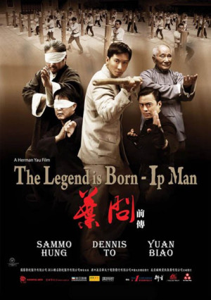 Ip Man The Legend Is Born 2010 DVDRip XviD-ViSiON
