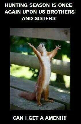 User:Kittybgirl1567 - Club Penguin Wiki - The free, editable ...