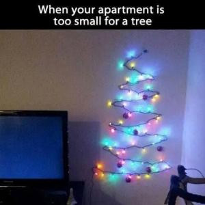 When your apartment is too small for a tree