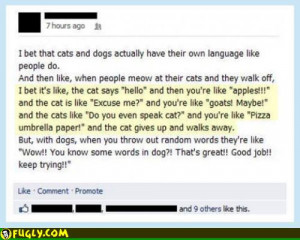 Do You Even Speak Cat