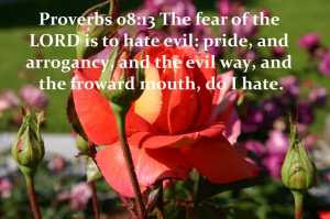 fear of the LORD [is] to hate evil: pride, and arrogancy, and the evil ...