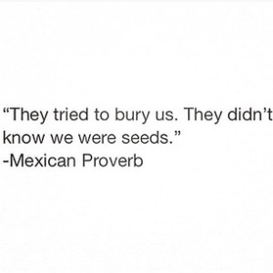 Instagram photo by wisdom_quotes123 - #rise #promise #purpose #truth # ...