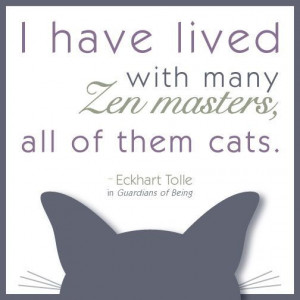 Eckhart Tolle quote - Zen master cats