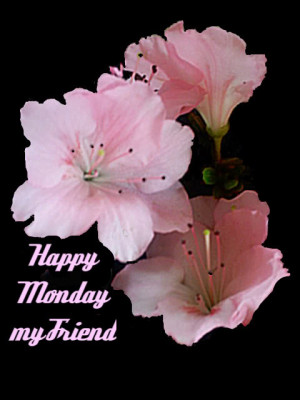 http://www.pictures88.com/monday/happy-monday-my-friend/