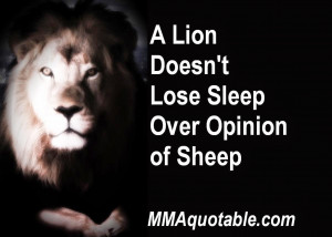 Lion Doesn't Lose Sleep Over Opinion of Sheep