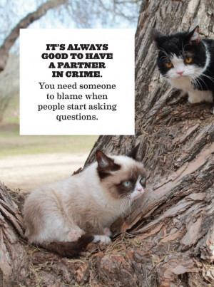 Grumpy Cat's Guide to Life
