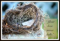 ... sent a special message just for you. Heart Reflected: An empty nest