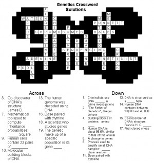 Math Crossword Puzzles with Answers. Related Images