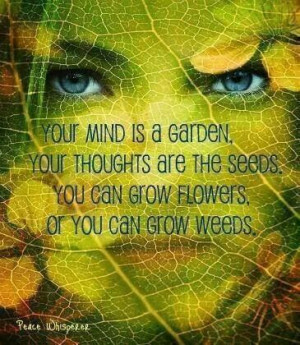 Mind is a garden