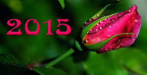 feliz año 2015 posted in imágenes 2015 tagged feliz 2015 feliz ...