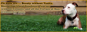 quotes-about-pit-bulls-facebook-timeline-cover-banner-photo.jpg