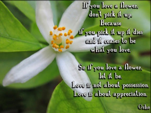 if you love a flower don t pick it up because if you pick it up it ...