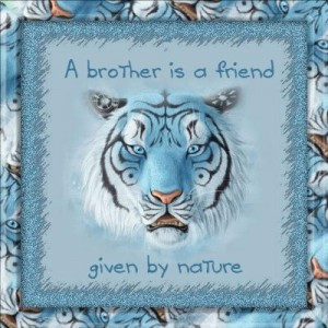 This very endearing quote, “A brother is a friend given by Nature ...