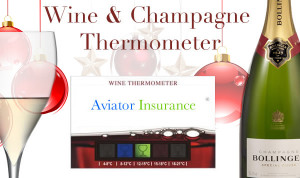 Brandable Wine Thermometer with Wine Temperature Chart