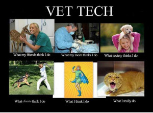 ... vet tech, what people think i do, what I think i do, what i really do