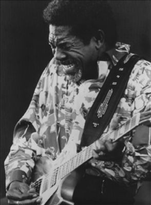 Luther Allison Pictures