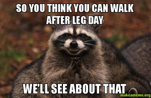 Evil Plotting Raccoon meme