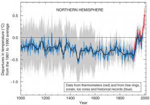 Global Warming? are humans to blame?-hockey_stick_chart_ipcc_large.jpg