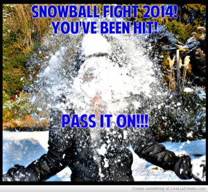 Snowball Fight 2014