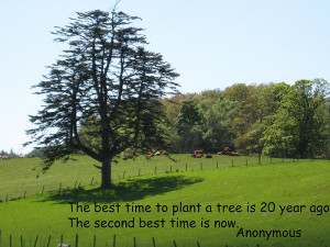 File Name : Tree-quote.jpg Resolution : 600 x 450 pixel Image Type ...