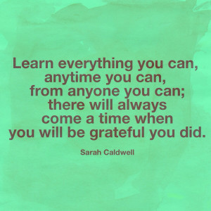 Language learning quote: Learn everything you can, anytime you can ...