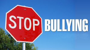 ... assist our local schools at combating a nation wide issue…bullying