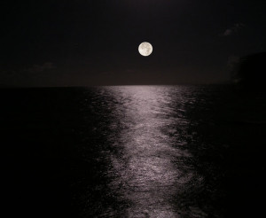 Photo Moonset Maui