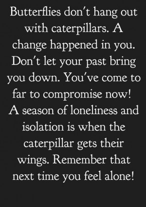 Caterpillar & butterflies